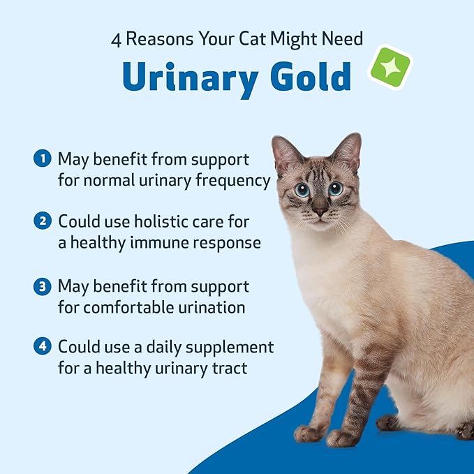 Pet Wellbeing Urinary Gold for Cats - Supports Urinary Tract Health, Normal Frequency, Healthy Immune Response, Stoneroot, Hydrangea - Vet-Formulated Herbal Supplement 4 fl oz (118 ml)