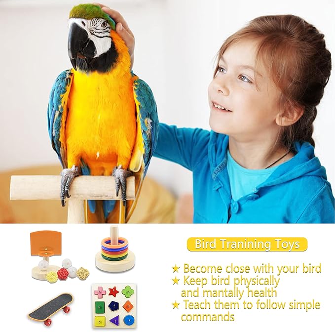 5 Packs Bird Toys Parrot Training Toys Parrot Wooden Block Puzzles Toy Bird Basketball Toy Small Sepak Takraw Bird Skateboard Bird Stacking Toy for Birds Parrot Training
