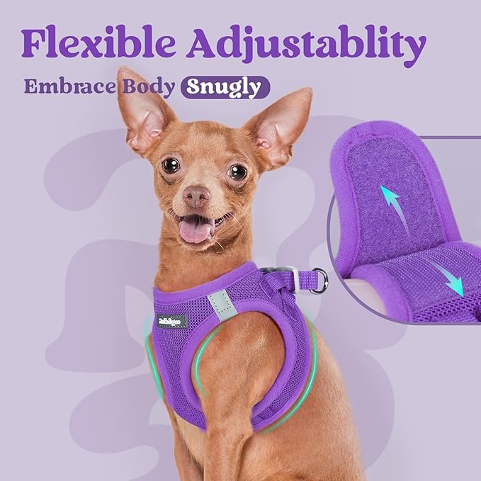 rabbitgoo Small Dog Harness, Step-in Soft Mesh Puppy Vest with Safety Buckle, Breathable Reflective Pet Harness for Large Dogs, Purple XXL