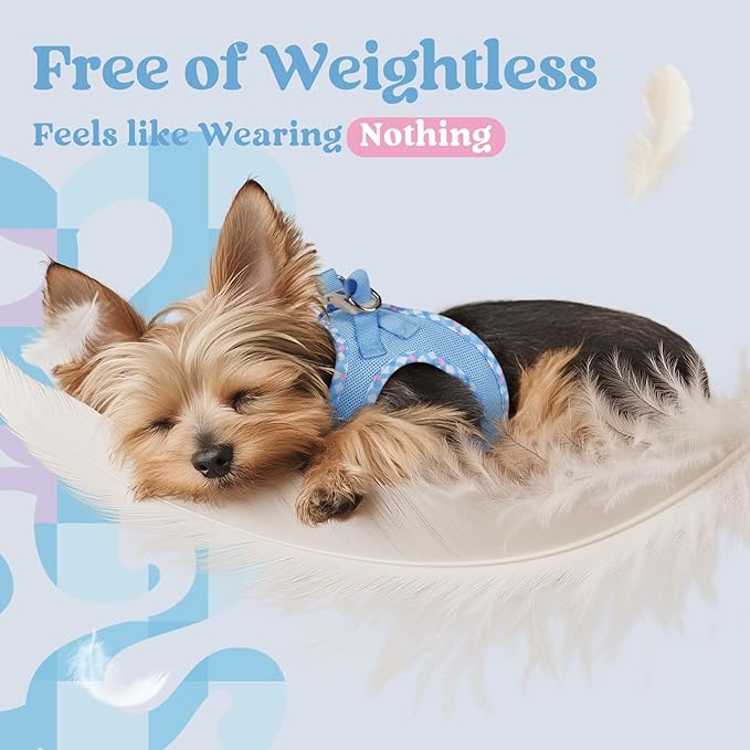 rabbitgoo Small Dog Harness, Step-in Soft Mesh Puppy Vest with Safety Buckle, Breathable Reflective Pet Harness for Small Sized Dogs, Blue & Plaid Trim M
