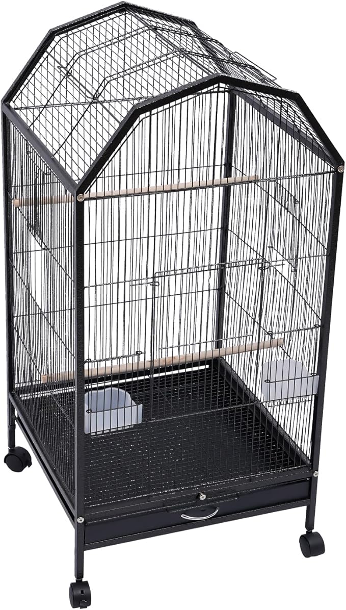Bird Cage, Open Top Medium Small Bird Cage with 360° Full Hollow Design & Interactive Skylight Rolling Birds Cages for Cockatiel Sun Conure Green Cheek Senegal Meyer's Red-Bellied 18.11*18.11*39.9 In