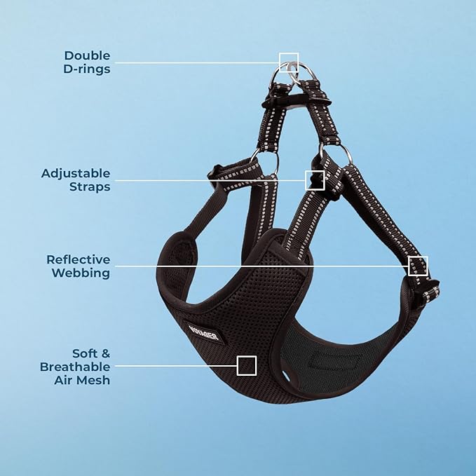 Best Pet Supplies Voyager Adjustable Step-in Flex Breathable Mesh Dog Harness for Small Medium Large Dogs (Black), XS