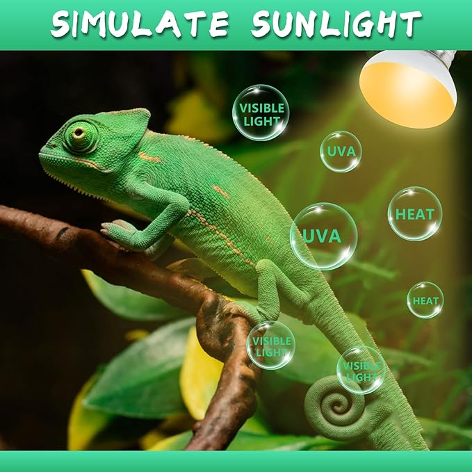 LUCKY HERP Heat Lamp Bulbs, 25W Reptile Heat Lamp 2 Pack Reptile Heat Lamp Bulbs, Daylight Basking Spot Heat Light Bulb, Amphibians Lamp Bulbs fo Chameleons, Snakes, Lizard, Turtle