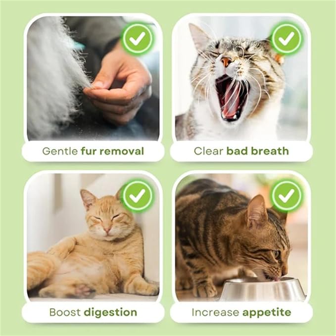Primeco Cat Grass Teething Stick, Natural Grass Molar Rod Made of Chicken & Cat Grass, 6 PCS Per Bag for Cat Indoor Teeth Cleaning, Hairball Removal, Dental Care, Increase Appetite (4 pcs)