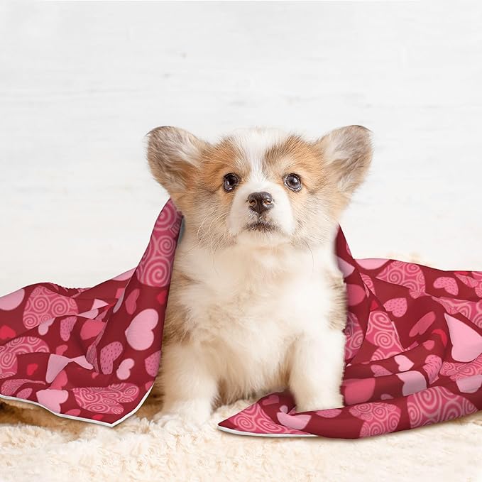 Red Blanket for Dog - Heart Love Throw Blanket 30x20 Pink Pet Blanket for Couch Sofa Bed