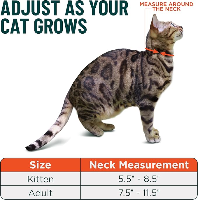 OutdoorBengal Pink Breakaway Kitten Collar - Ultra Safe Quick Release Cat Collar for Small Kittens Under 6 Months – Soft-Padded, Lightweight, Adjustable, Thin and Comfortable, No Bell (Pink, Kitten)