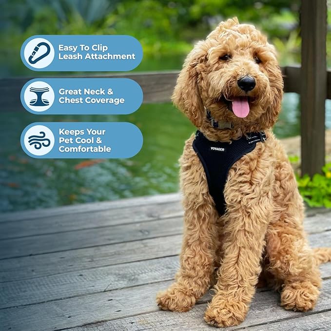 Best Pet Supplies Voyager Adjustable Step-in Flex Breathable Mesh Dog Harness for Small Medium Large Dogs (Black), XS