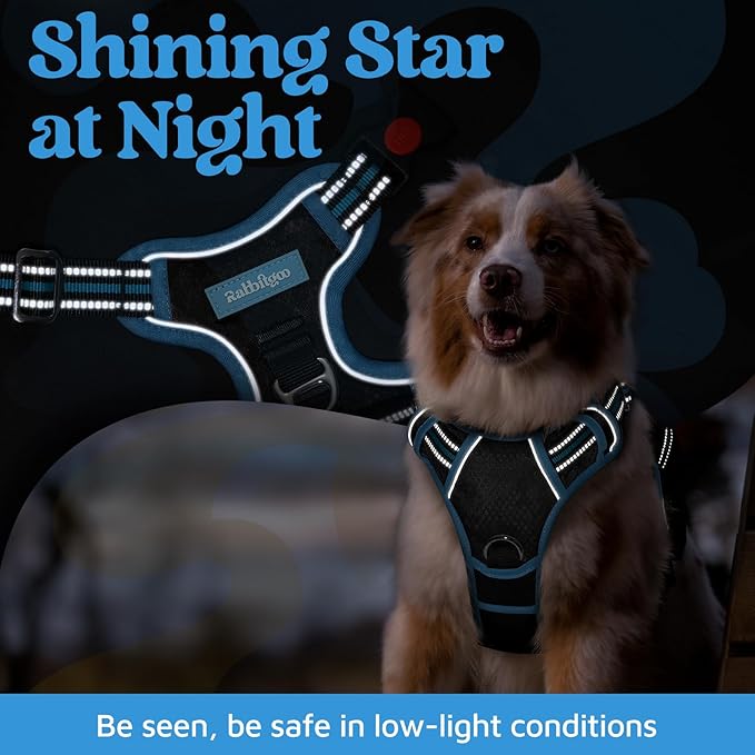rabbitgoo Dog Harness Medium Sized, No Pull Dog Vest with 3 Buckles, Adjustable Soft Padded Pet Harness with Easy Control Handle and Reflective Strips, Black & Sky Blue, M