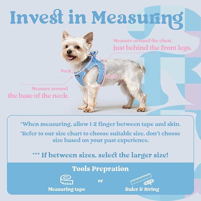 rabbitgoo Small Dog Harness, Step-in Soft Mesh Puppy Vest with Safety Buckle, Breathable Reflective Pet Harness for Small Sized Dogs, Blue & Plaid Trim S