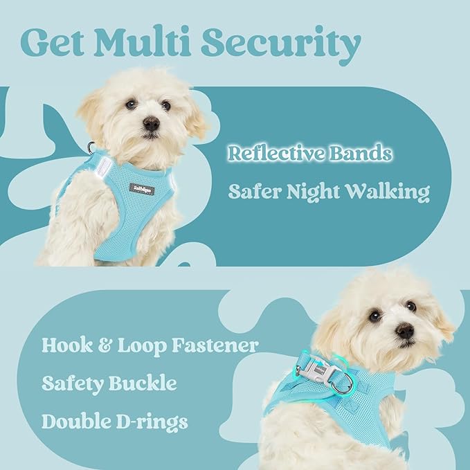 rabbitgoo Small Dog Harness, Step-in Soft Mesh Puppy Vest with Safety Buckle, Breathable Reflective Pet Harness for Small Sized Dogs, Mint Blue S