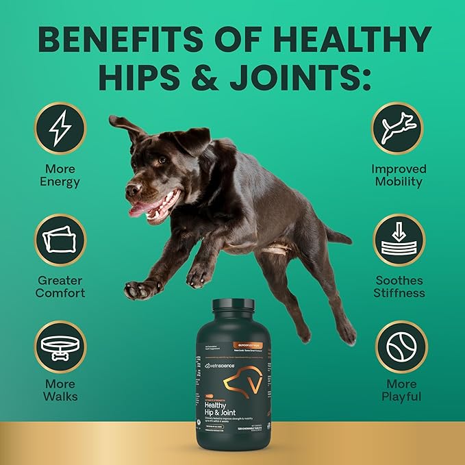 VetriScience Ultimate Strength Healthy Hip & Joint Chewable Tablets, GlycoFlex Glucosamine, Chondroitin and Green-Lipped Mussel Joint Supplement for Dogs, Soothe Joint Discomfort, Chicken, 120 Count