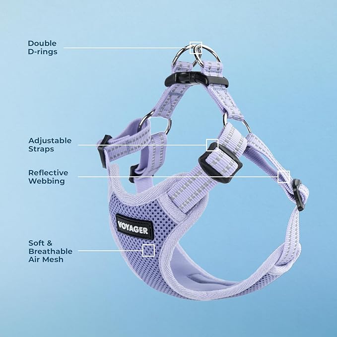Best Pet Supplies Voyager Adjustable Step-in Flex Breathable Mesh Dog Harness for Small Medium Large Dogs (Lavender), M
