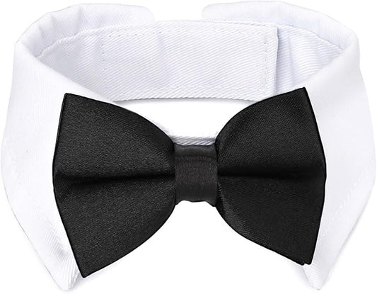 Segarty Bow Tie Cat Collar for Neck Girth 8.8-10.5 in, Tux Puppies Dog Bowtie with Handcrafted Adjustable White Collar Formal Pet Cats Necktie for Cats Small Dog Wedding Party