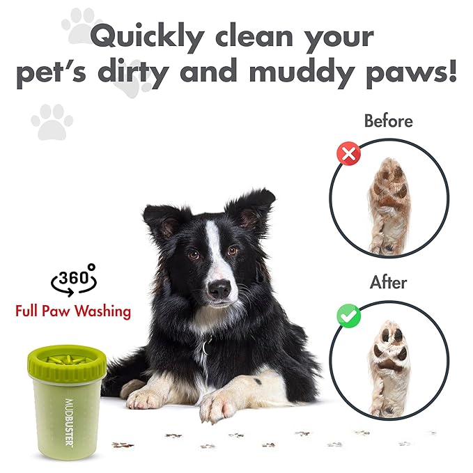 Dexas Green Small Dog Paw Cleaner for Dogs - Premium Quality Pet Supplies and Dog Accessories - Cleans Mud and Dirt - Easy to Use and Clean - Patented Product - BPA Free