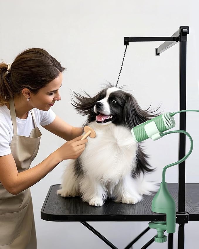 L&W BROS. 2-in-1 Pet Hair Dryer with Clamp Stand – Wearable & Hands-Free Dog Grooming Dryer, 950W Low Noise Blower with 5 Heat & 3 Speed Settings, for Small to Medium Pets (Green)