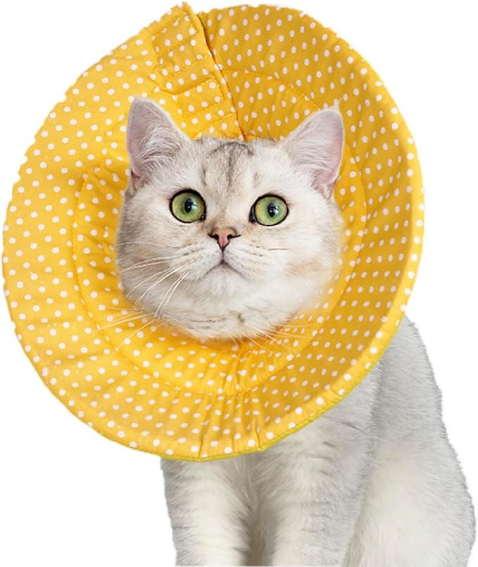 Elizabethan Collar (美/首巻/黄S)