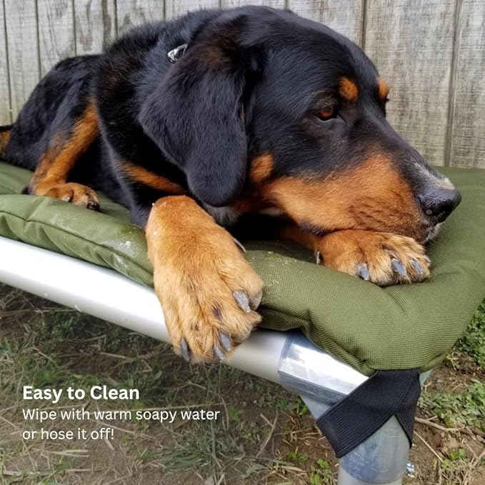 Kuranda Chewproof Elevated Pet Bed - Silver Aluminum - 35" x 23" - Sunsure Textilene - Birch