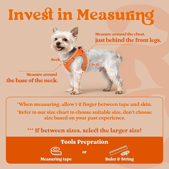 rabbitgoo Small Dog Harness, Step-in Soft Mesh Puppy Vest with Safety Buckle, Breathable Reflective Pet Harness for Extra Small Dogs, Orange XXS