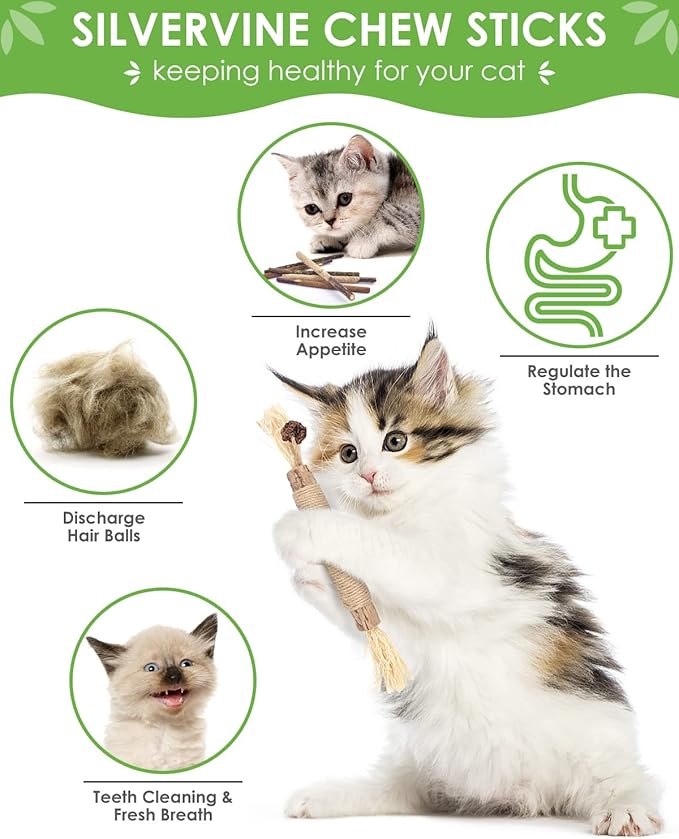 Silvervine Chew Sticks for Cats, 10 Pack Natural Catnip Chew Toys for Kittens Teeth Cleaning, Matatabi Dental Care, Increase Appetite, Calm Cat Anxiety and Stress, Aggressive Chewers Cat Dental Toy