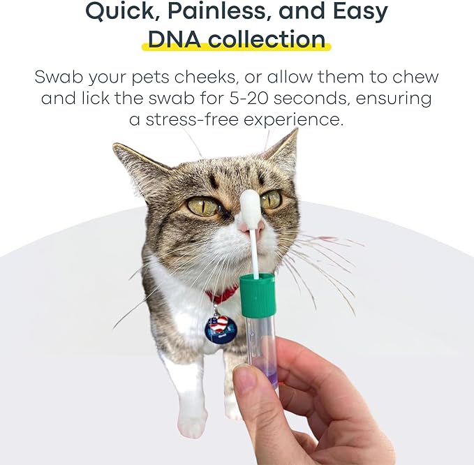 Basepaws Cat DNA Test Kit - Comprehensive Breed, Health and Dental Analysis Across 114 Traits for Accurate and Easy-to-Use Genetic Insights