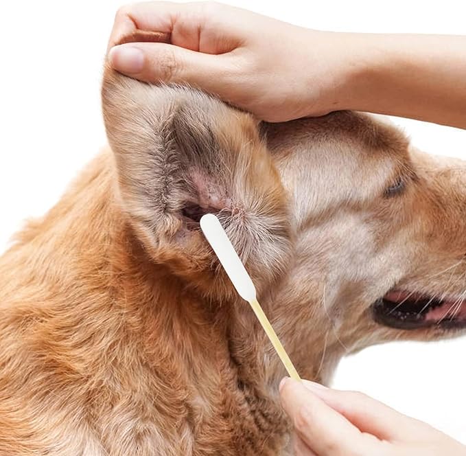 Long Cotton Swabs for Dog Ear Cleaning, 800pcs, 4.7 Inch Biodegradable Cotton Tips, Eco-Friendly Bamboo Cotton, Pet Ear Care & Wound Treatment, 16 Resealable Bags