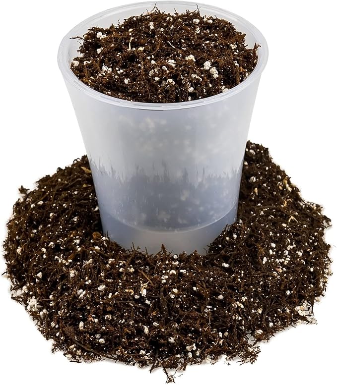 Gardenera Fern + Perlite Soil Mix for Repotting and Planting Succulents and Cactuses - 3 Quart Bag