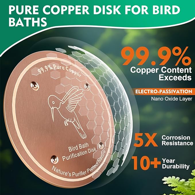 2 Pcs Bird Bath Copper Disk | 99.99% Pure Copper Plate & Birdbath Disk | 0.6mm Thick Reinforced Design | Maintains Clean Water Naturally | Fits All Birdbath Bowls Year-Round (Bird Style 2)
