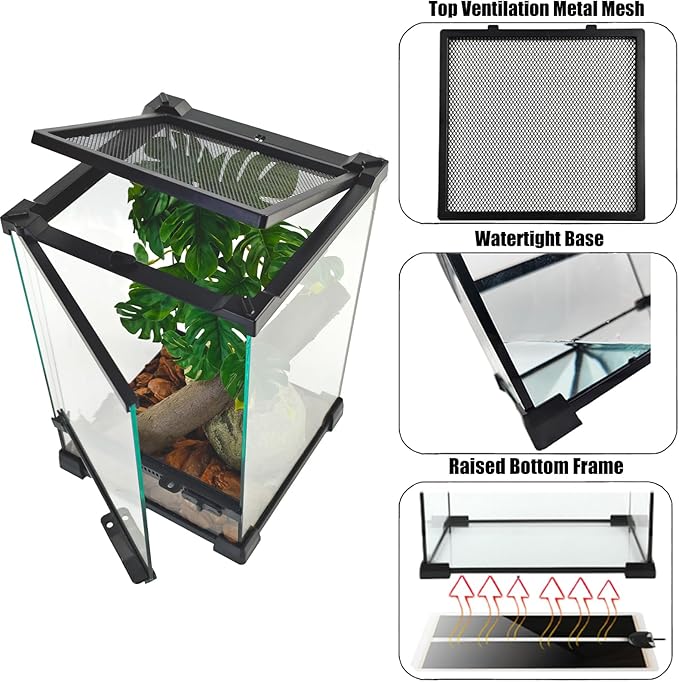 Woyrise Reptile Glass Terrarium Tank 8"x8"x12", Front & Top Opening Door Full View Visually Appealing Mini Reptile or Amphibians Habitat, Stackable Vertical Enclousure for Small Reptiles