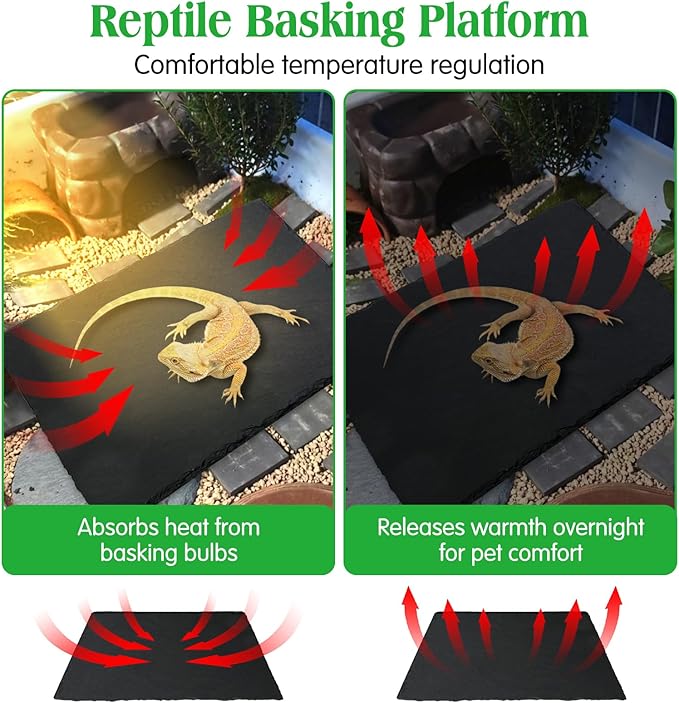 Tfwadmx Reptile Basking Platform Large Tortoise Feeding Bathing Area Turtle Original Rock Plate Grinding Nails Resting Terrace Habitat Decor for Amphibian Reptile Bearded Dragon Chameleon Snake