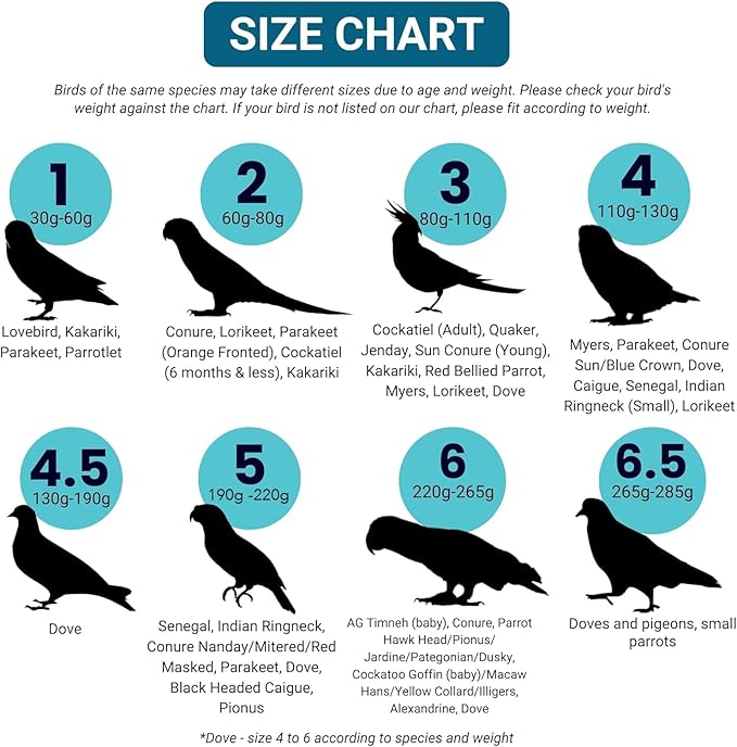 Bev's Bird Boutique Regular Flyper Adjustable Bird Diaper | Reusable, Washable Cloth | Comfort Fit for Parrot, Cockatiels, & Other Small Birds | Fashionable Avian Accessories, Retro Tux, Size 9.5