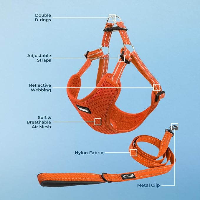 Best Pet Supplies Voyager Adjustable Step-in Flex Breathable Mesh Dog Harness for Small Medium Large Dogs Leash Set (Orange), S