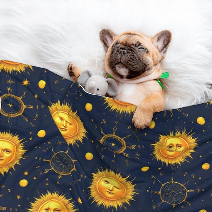 Dog and Cat Blanket in One, Meet 998 Boho Chic Art Golden Sun Moon And Stars Over Blue Black Sky, Double Sided Plush Throw with Raised Dot Pattern on One Side and Flat Velvet on Other for Variety