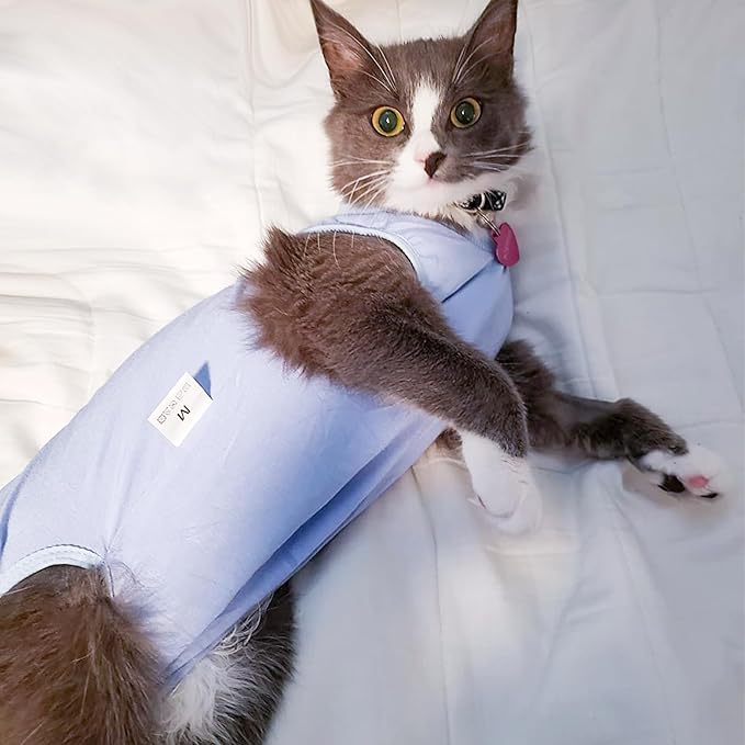 DOTON Cat Recovery Suit for Male and Female Surgical Post Surgery Soft Cone Onesie Shirt Clothes Neuter Licking Protective Diapers Outfit Cover Kitten Spay Collar(S, Blue)