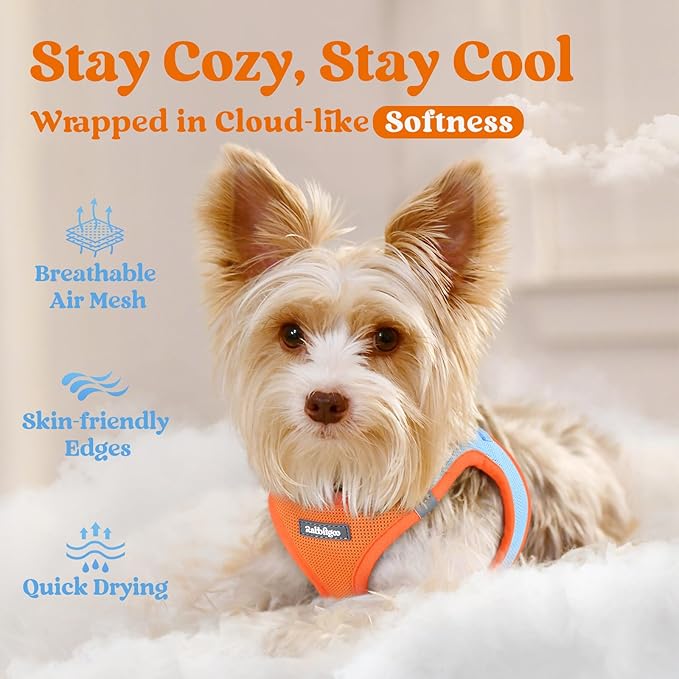 rabbitgoo Small Dog Harness, Step-in Soft Mesh Puppy Vest with Safety Buckle, Breathable Reflective Pet Harness for Small Sized Dogs, Blue & Orange M