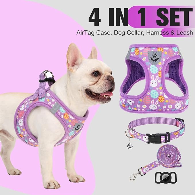 EXPAWLORER Easter Small Dog Harness - Dog Collar and Leash Set - Soft Mesh Padded Adjustable Step in Puppy Vest Harness No Pull, Reflective Escape Proof for Outdoor Walking, Bunny Egg M