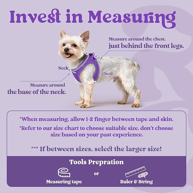 rabbitgoo Small Dog Harness, Step-in Soft Mesh Puppy Vest with Safety Buckle, Breathable Reflective Pet Harness for Large Dogs, Purple XXL