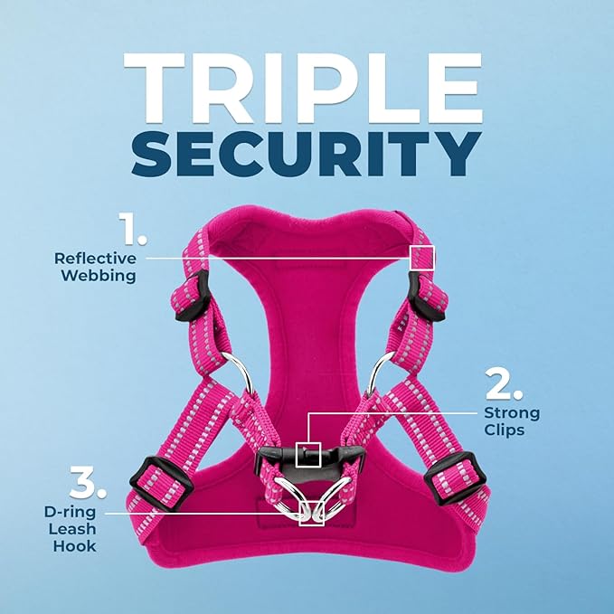 Best Pet Supplies Voyager Adjustable Step-in Flex Breathable Mesh Dog Harness for Small Medium Large Dogs (Fuchsia), XS