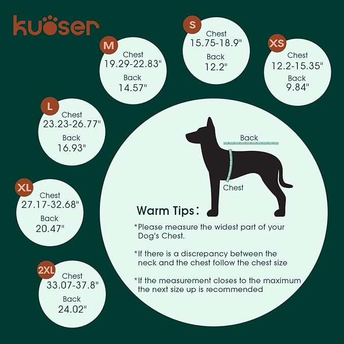 Kuoser Dog Surgery Recovery Suit - Thigh Wound Protective Sleeve for Female & Male Dogs, Pet Surgical Onesie for Spay/Neuter, Gray XXL