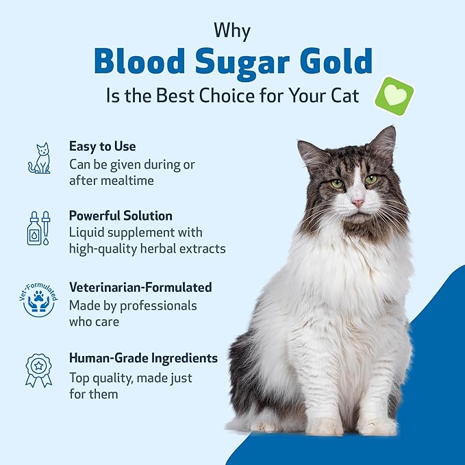 Pet Wellbeing Blood Sugar Gold for Cats - Healthy Blood Sugar Levels, Pancreas & Liver Function, Devil’s Club, Gymnema - Veterinarian-Formulated Herbal Supplement 4 oz (118 ml)