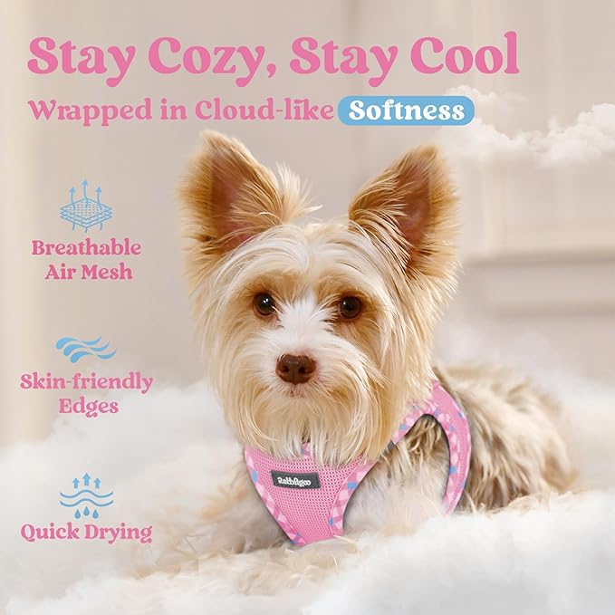 rabbitgoo Small Dog Harness, Step-in Soft Mesh Puppy Vest with Safety Buckle, Breathable Reflective Pet Harness for Small Sized Dogs, Pink & Plaid Trim S