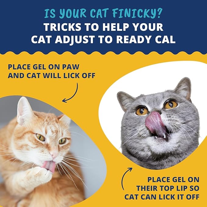 Under The Weather Pet | Ready Cal for Cats 100cc | High Calorie Supplement | Cat Weight Gainer and High Calorie Booster | 10 Vitamins, 7 Minerals & Omega Fatty Acids (2 Pack)