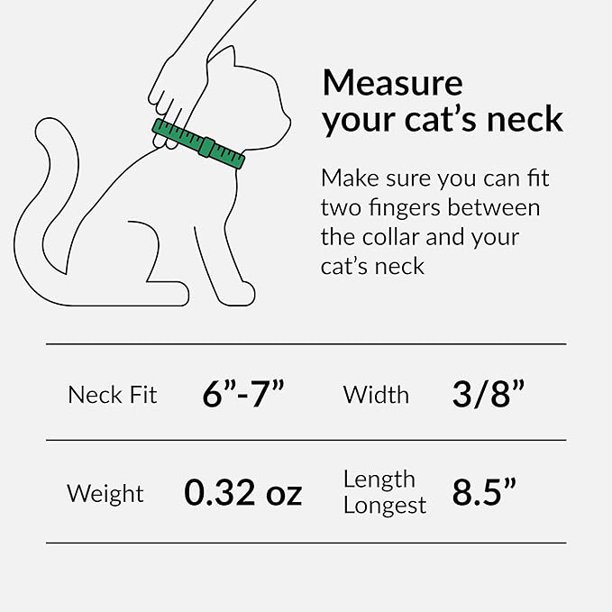 CollarDirect Leather Cat Collar with Bell - Kitten Collar, Small and Big Cat Strap for Boy Cats, Girl Cats with Safety Elastic Strap (Neck Fit 6"-7", Yellow)