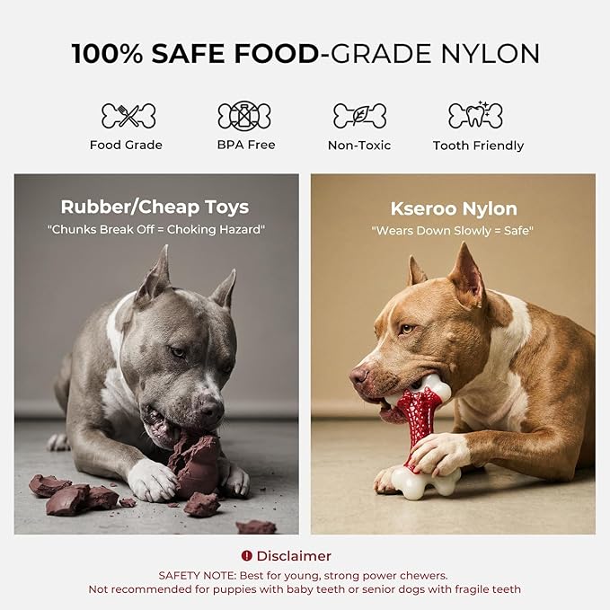 10-Pack Indestructible Dog Toys for Aggressive Chewers: Beef Flavored Hard Nylon Bone Chew Toys, Tough Dog Chew Toys for Large Dogs, Dog Toys to Keep Them Busy for Medium Large Breed, Red