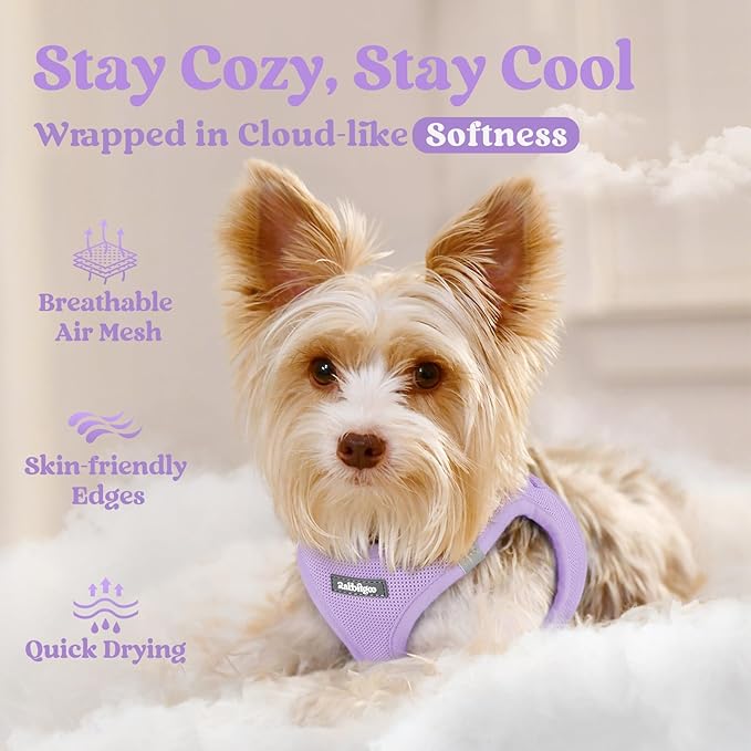 rabbitgoo Small Dog Harness, Step-in Soft Mesh Puppy Vest with Safety Buckle, Breathable Reflective Pet Harness for Small Sized Dogs, Light Purple S