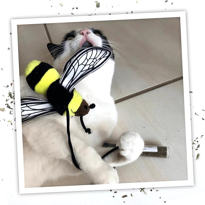 Meowijuana Honey Bee Bundle | Get Buzzed Honey Bee Wand Toy and Honeysuckle Haze Catnip Blend | Promotes Play and Cat Health | Includes North American Organic Catnip