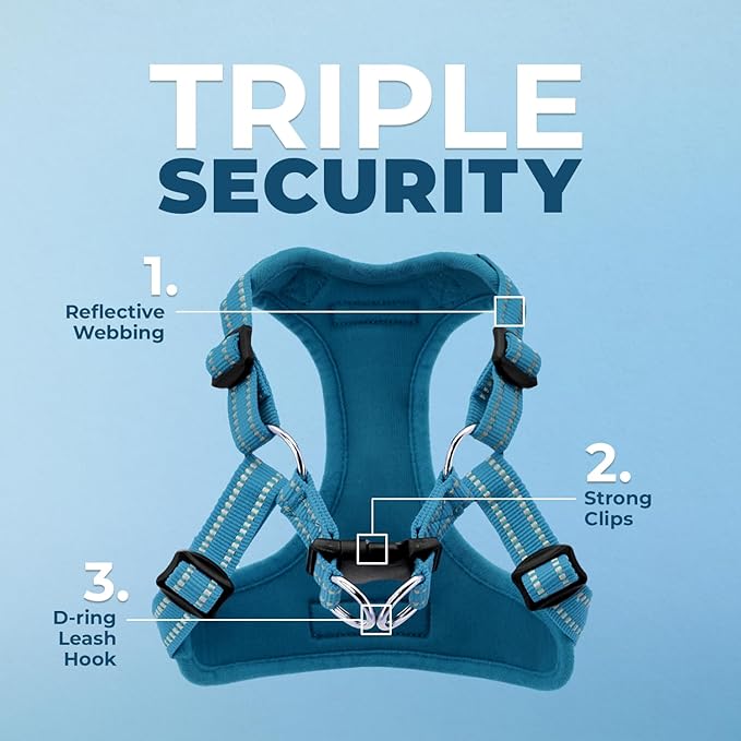 Best Pet Supplies Voyager Adjustable Step-in Flex Breathable Mesh Dog Harness for Small Medium Large Dogs (Turquoise), XS