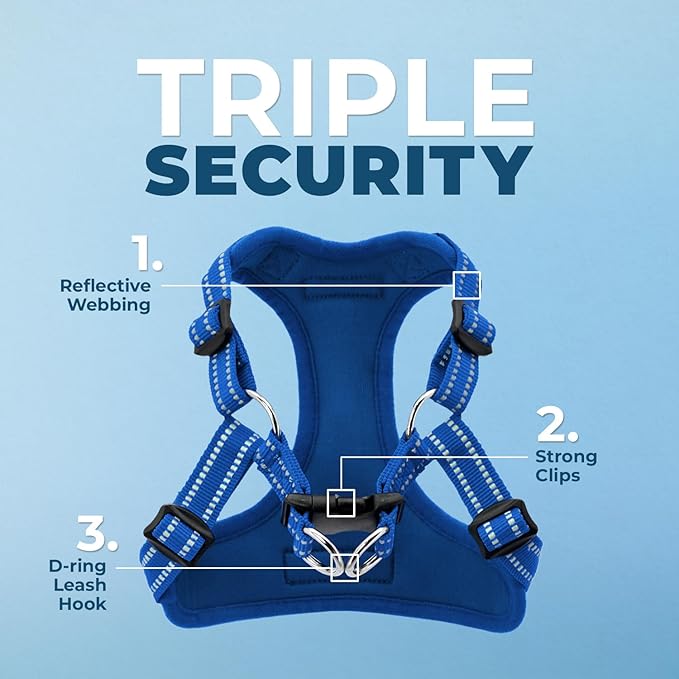 Best Pet Supplies Voyager Adjustable Step-in Flex Breathable Mesh Dog Harness for Small Medium Large Dogs Leash Set (Royal Blue), S
