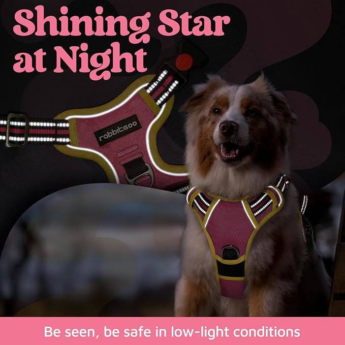 rabbitgoo Dog Harness Small Sized, No Pull Dog Vest with 3 Buckles, Adjustable Soft Padded Pet Harness with Easy Control Handle and Reflective Strips, Pink & Yellow, S