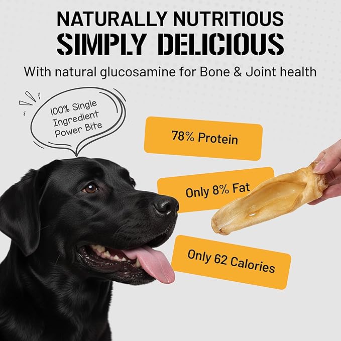 Dog Chits Lamb Ears for Dogs – 100% Natural Baked Lamb Ear Dog Treats – Grain-Free, High Protein, Lower Fat Training Chews – Dental Health & Joint Support – for Medium and Small Pups – 35 Pack