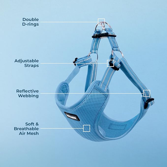 Best Pet Supplies Voyager Adjustable Step-In Flex Breathable Mesh Dog Harness for Small Medium Large Dogs (Baby Blue), XL